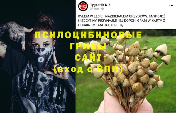 наркотики Богданович