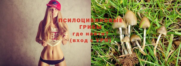 герыч Богородицк