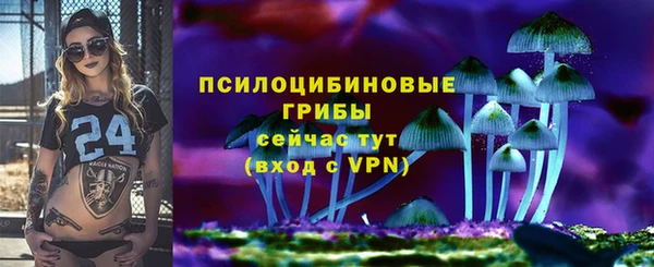 гашик Богородск