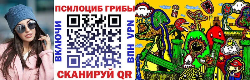 мега   Мышкин  Галлюциногенные грибы Psilocybe 